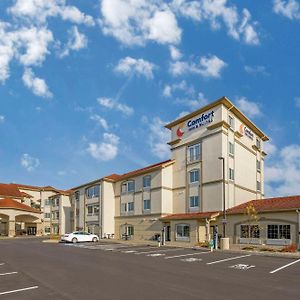 Comfort Inn & Suites Verona At Turning Stone Resort Casino